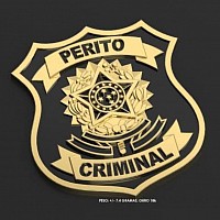 Logo segurança