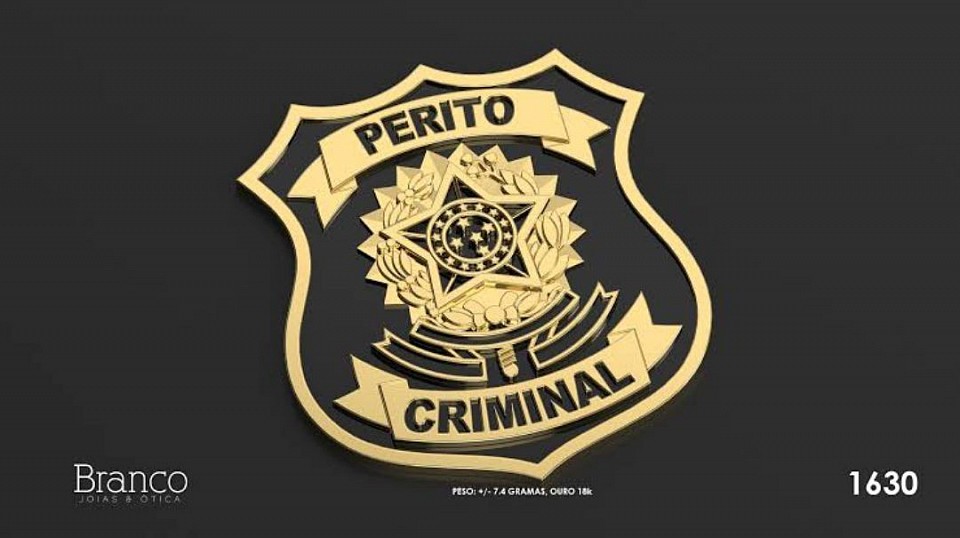 Logo segurança